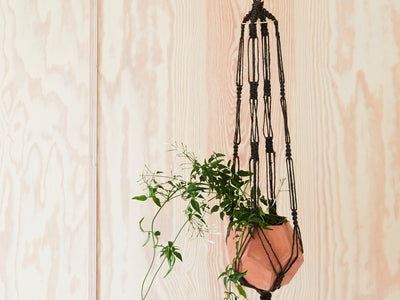 Nature Channel Plant Hanger against a beautiful plywood wall