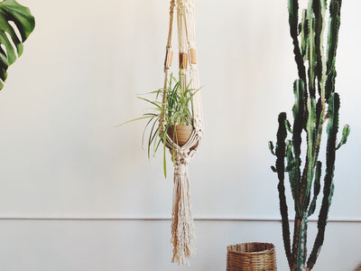 Top Ten Plant Hanger Patterns to Try Now