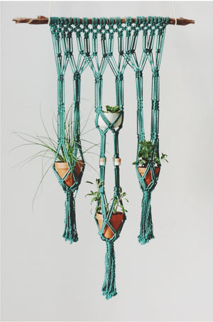 Want to learn to make this beautiful macrame plant hanger garden? We have all you need. 