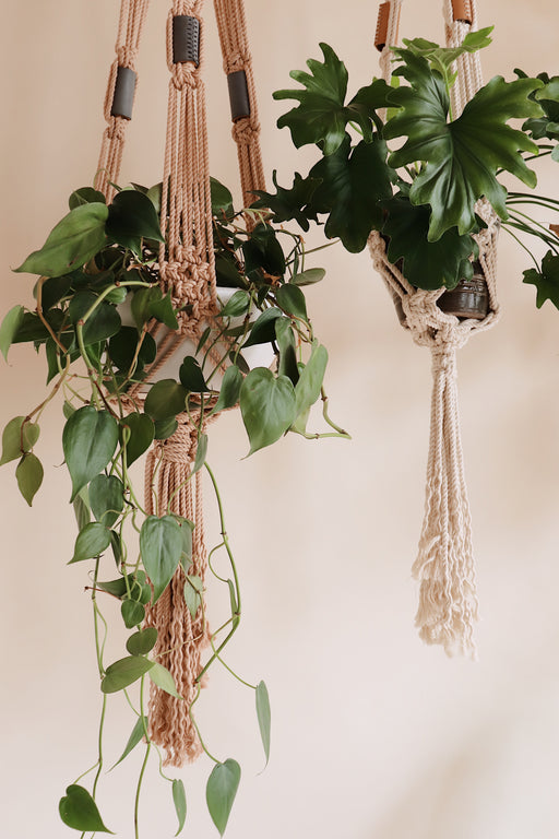 learn how to make a macrame plant hanger