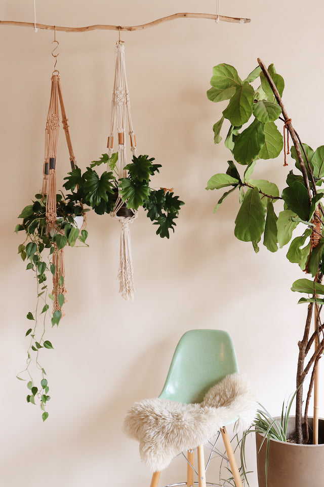 Easy DIY plant hanger pattern. Perfect for Beginners. Learn Macrame with Modern Macrame