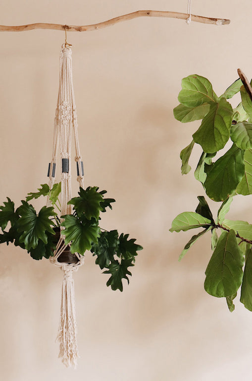 Make your own DIY macrame plant hanger with our brand new kit!