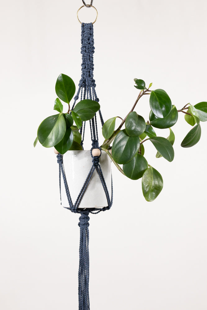 Mini plant hangers made out of 3mm cotton rope