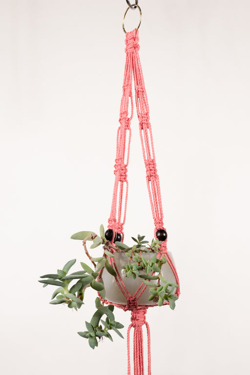 Mini plant hangers made out of 3mm cotton rope