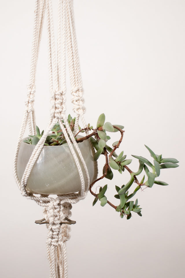 Plant hanger featuring ak studios brass beads as a hanger and basket support