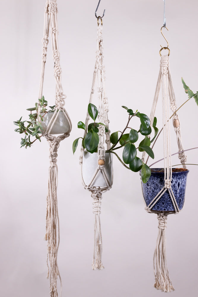 Sample plant hangers