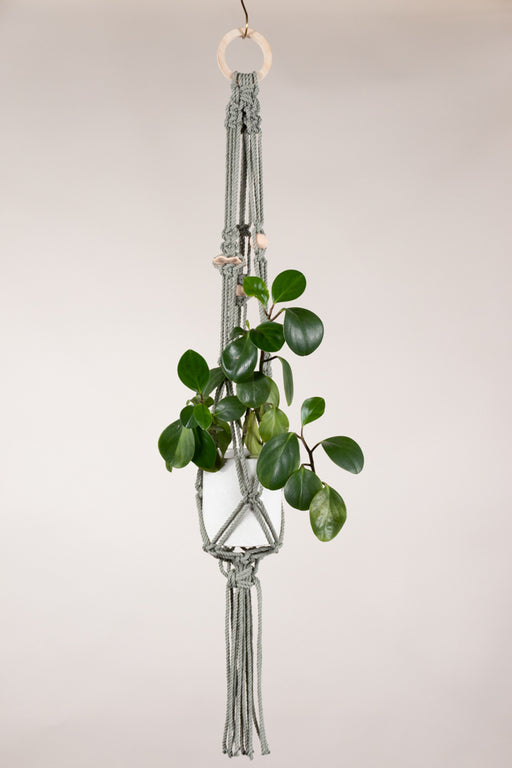 Sage plant hanger featuring Four Eyes Beads in Peach and a flat wooden ring 