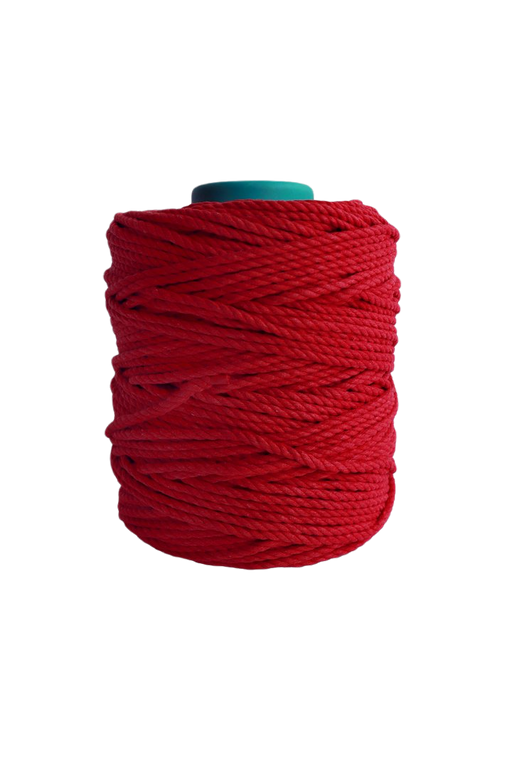Tenn Well Braided Cotton Cord, 165 Feet 5mm Wide Cotton Macrame Rope for  Plant Hangers Wall Hangings DIY Crafts (Red)
